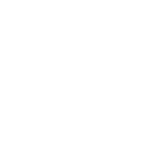 R Luna Western Wear